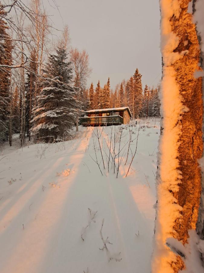 Northwoods Cottage Bed And Breakfast Fairbanks Ngoại thất bức ảnh