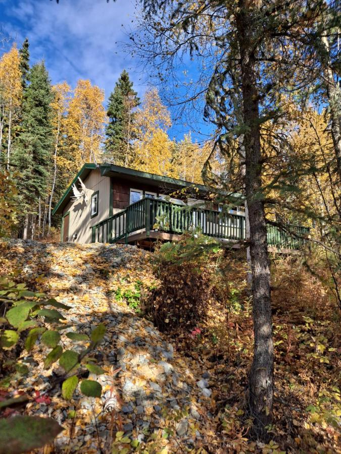 Northwoods Cottage Bed And Breakfast Fairbanks Ngoại thất bức ảnh