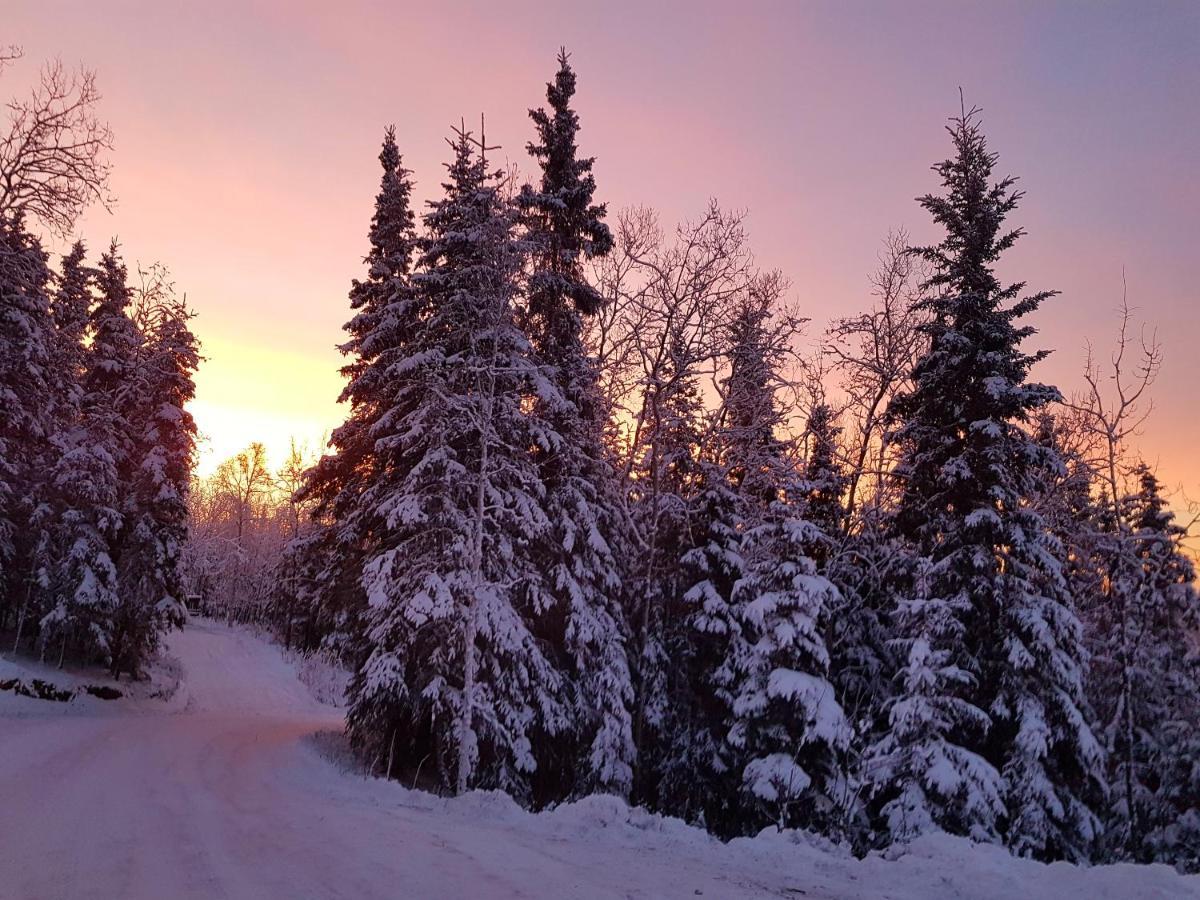 Northwoods Cottage Bed And Breakfast Fairbanks Ngoại thất bức ảnh