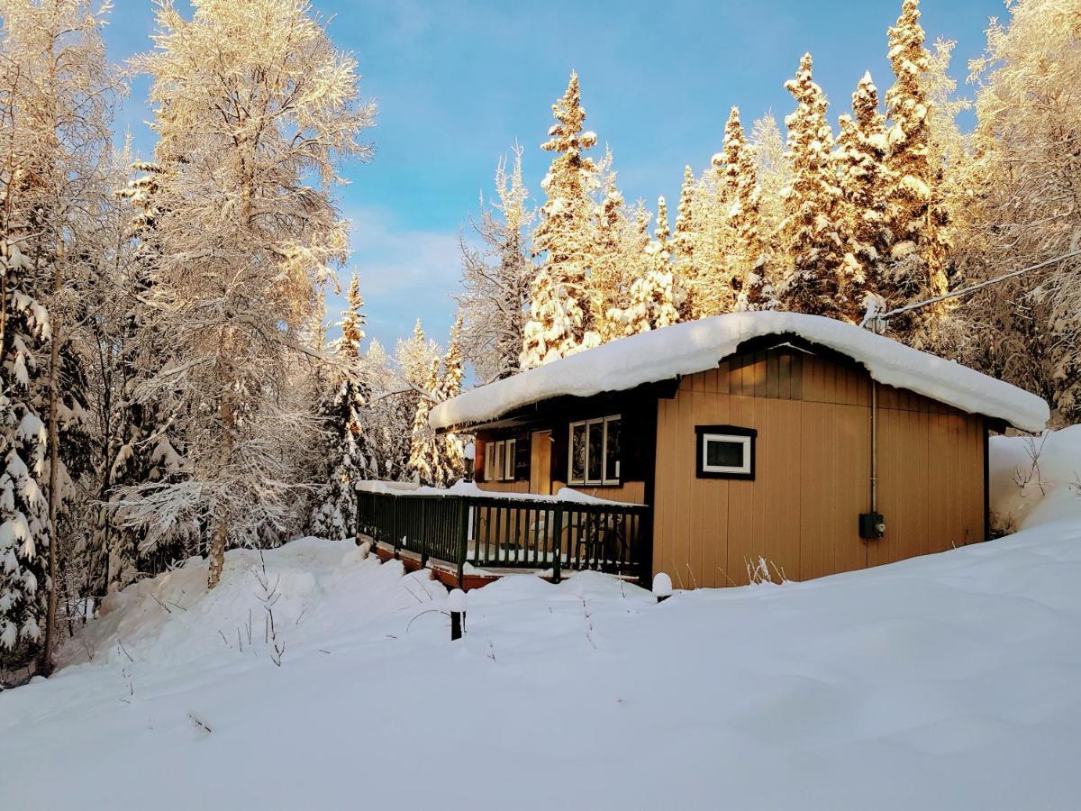 Northwoods Cottage Bed And Breakfast Fairbanks Ngoại thất bức ảnh