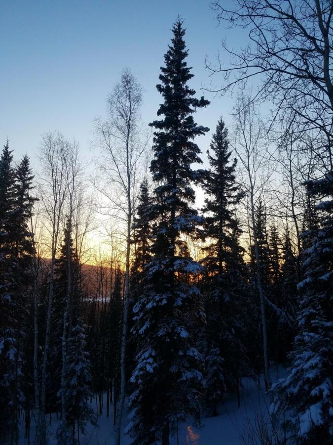 Northwoods Cottage Bed And Breakfast Fairbanks Ngoại thất bức ảnh
