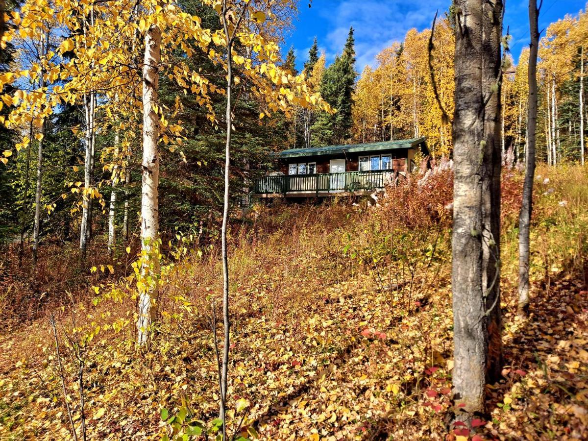 Northwoods Cottage Bed And Breakfast Fairbanks Ngoại thất bức ảnh