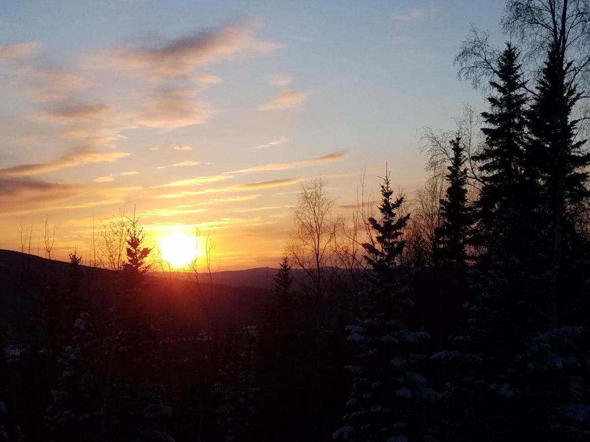 Northwoods Cottage Bed And Breakfast Fairbanks Ngoại thất bức ảnh