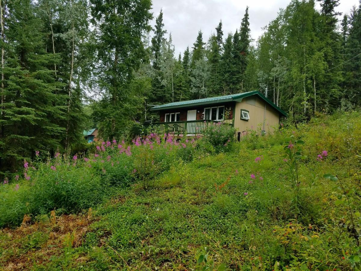 Northwoods Cottage Bed And Breakfast Fairbanks Ngoại thất bức ảnh