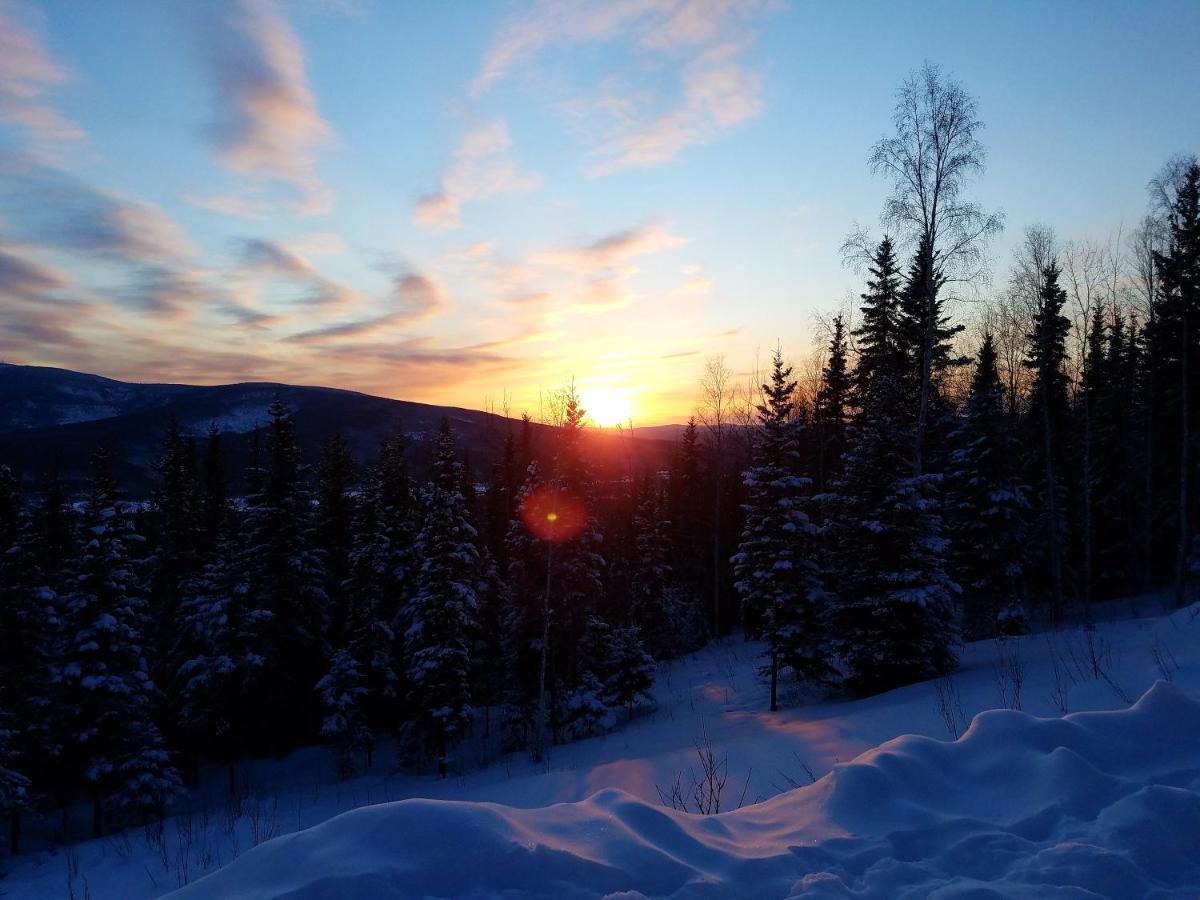 Northwoods Cottage Bed And Breakfast Fairbanks Ngoại thất bức ảnh
