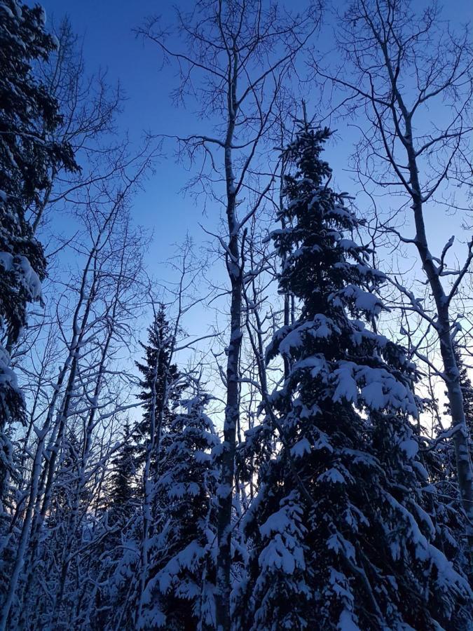 Northwoods Cottage Bed And Breakfast Fairbanks Ngoại thất bức ảnh