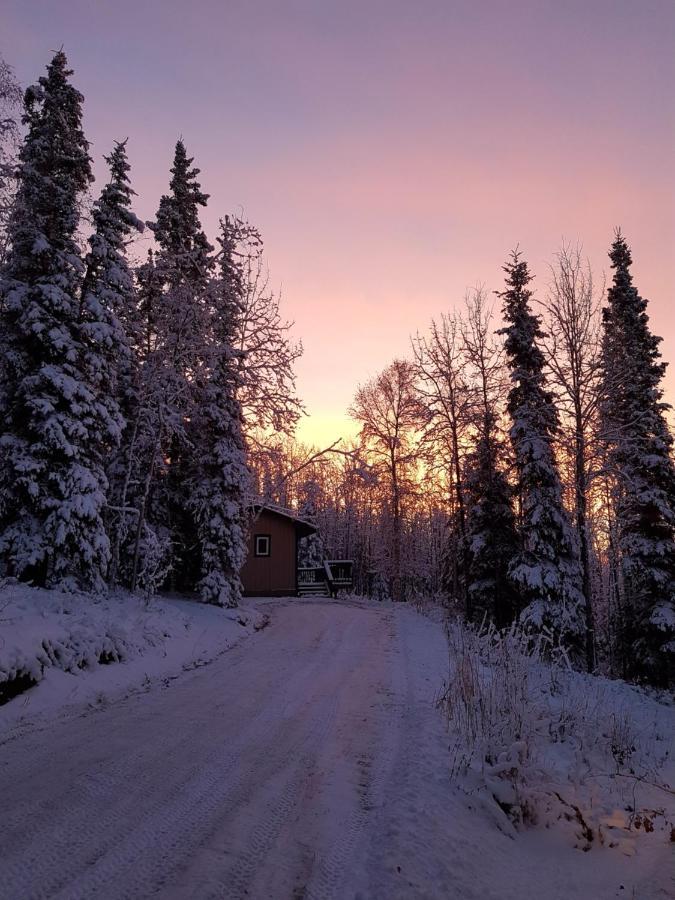 Northwoods Cottage Bed And Breakfast Fairbanks Ngoại thất bức ảnh