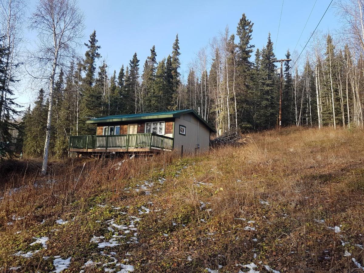 Northwoods Cottage Bed And Breakfast Fairbanks Ngoại thất bức ảnh
