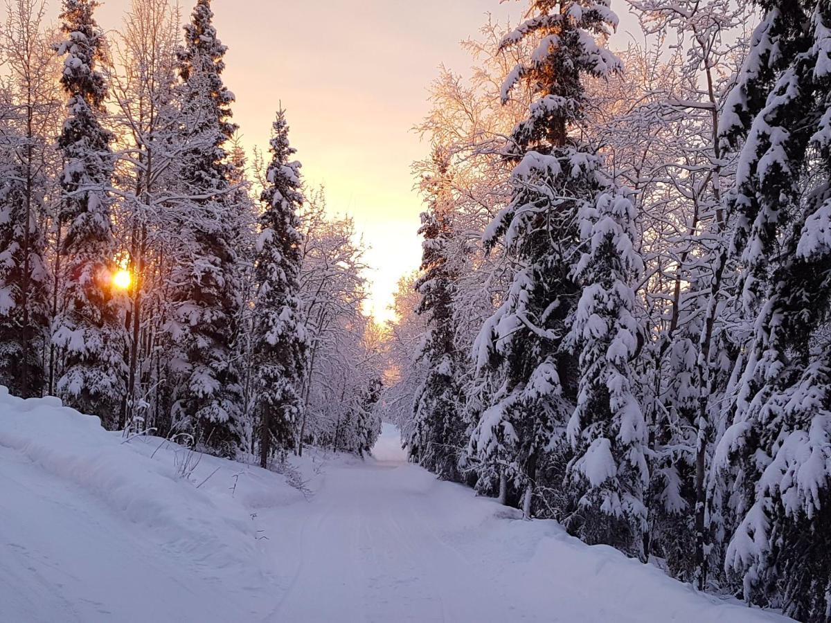 Northwoods Cottage Bed And Breakfast Fairbanks Ngoại thất bức ảnh
