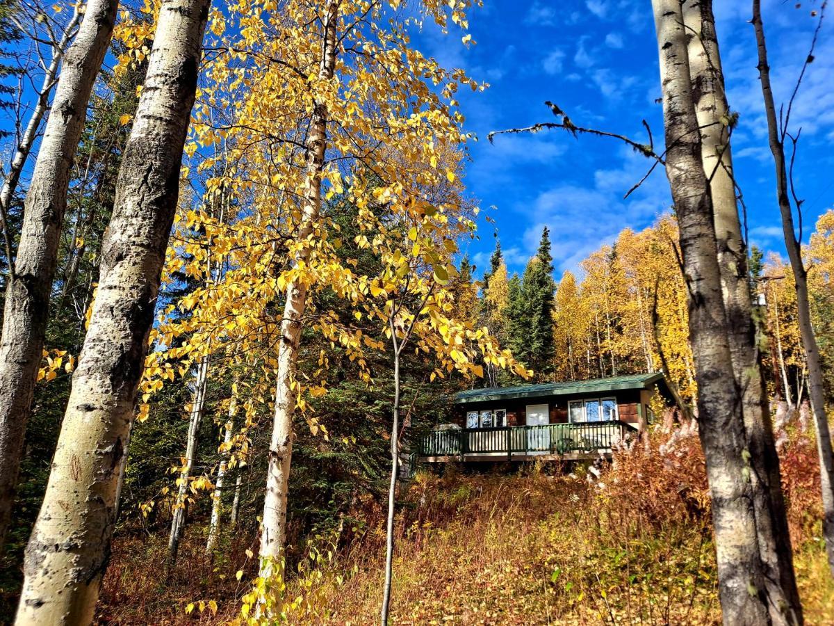 Northwoods Cottage Bed And Breakfast Fairbanks Ngoại thất bức ảnh