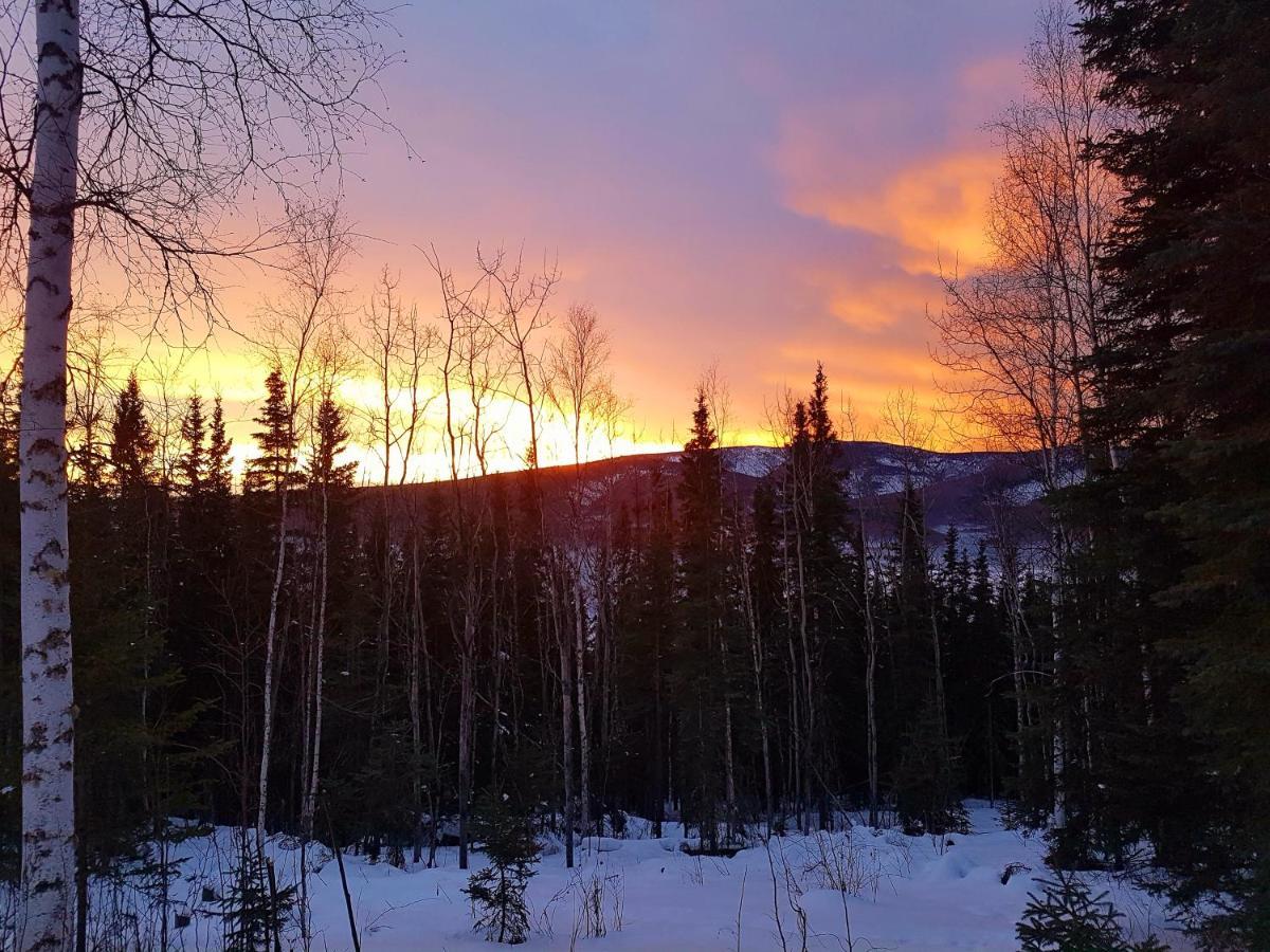 Northwoods Cottage Bed And Breakfast Fairbanks Ngoại thất bức ảnh