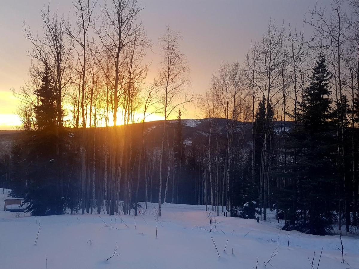Northwoods Cottage Bed And Breakfast Fairbanks Ngoại thất bức ảnh