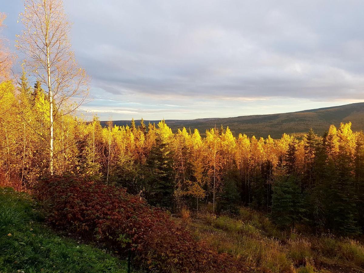 Northwoods Cottage Bed And Breakfast Fairbanks Ngoại thất bức ảnh